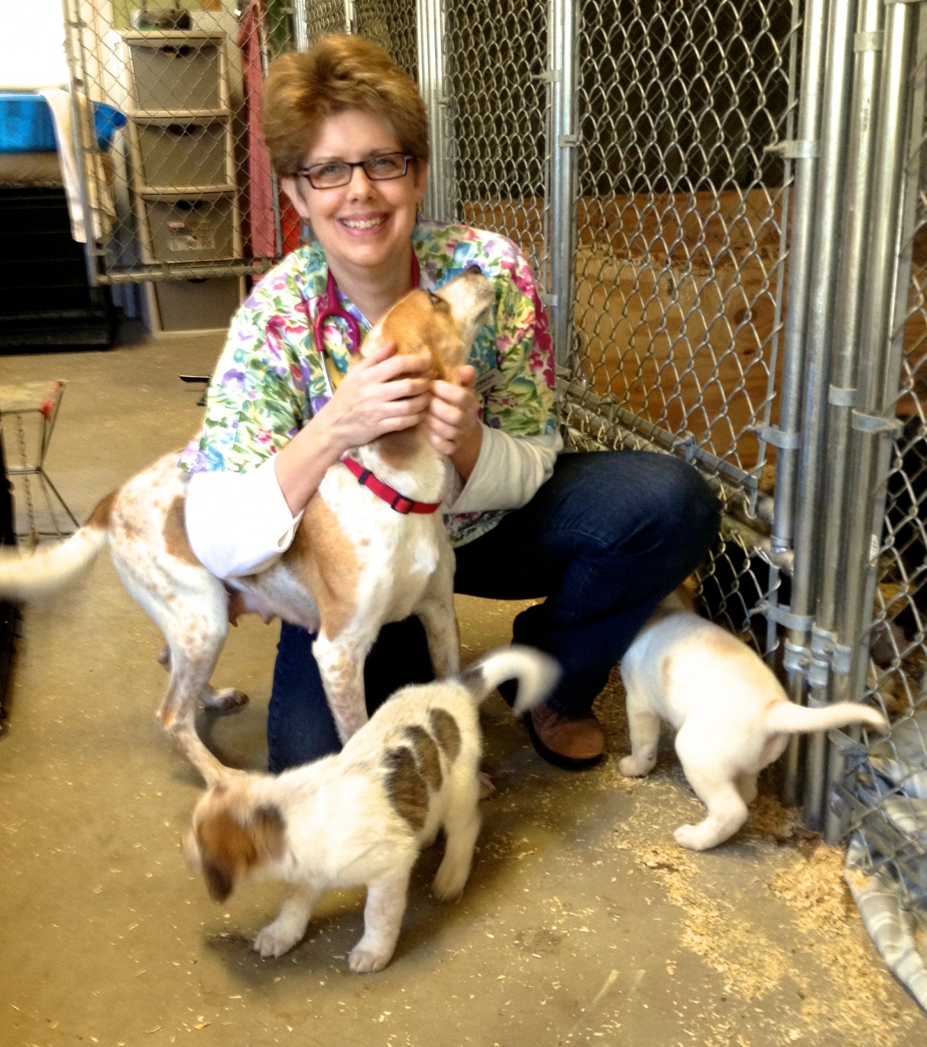 Dr. Peterson examines mom and pups at a local dog shelter